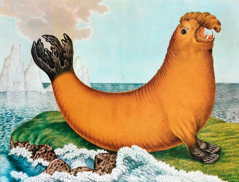 Illustration for article titled How Europeans Imagined Exotic Animals Centuries Ago, Based on Hearsay